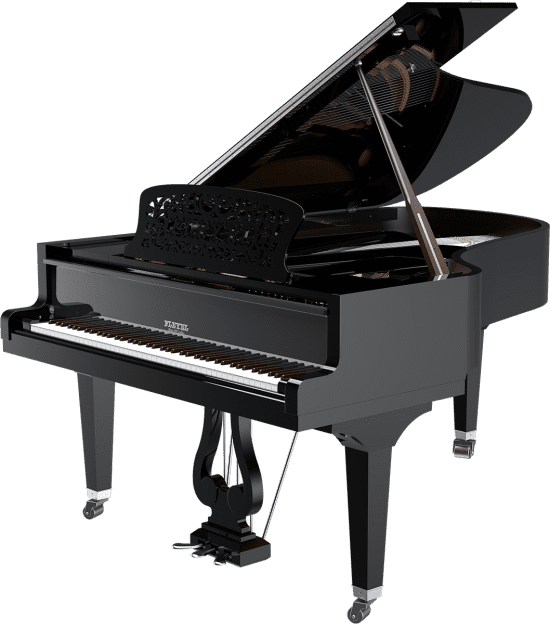 P204 Matisse Noir Brillant