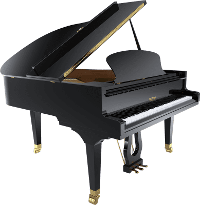P170-BLK-2